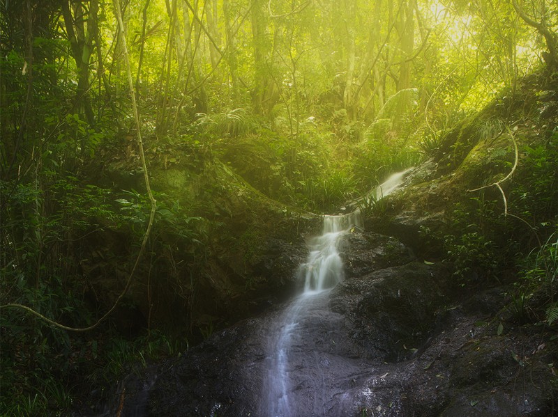 細水長流，持續(xù)學習，忘我工作，共建臻美臨臨——讀《細水長流，忘我工作，重建美麗家園》有感