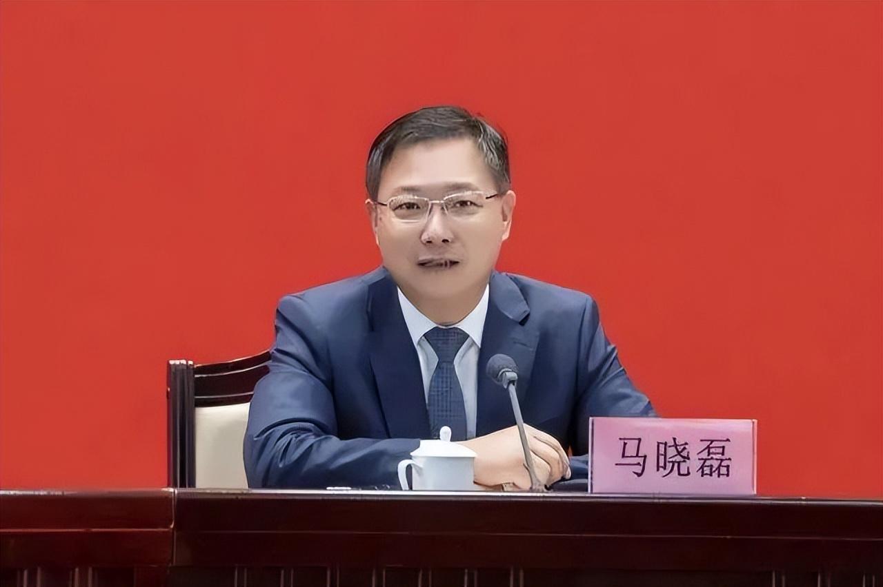 市委書(shū)記馬曉磊在全市企業(yè)家座談會(huì)上的講話(huà)