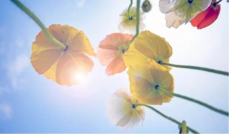 如何發(fā)揮自己的長處