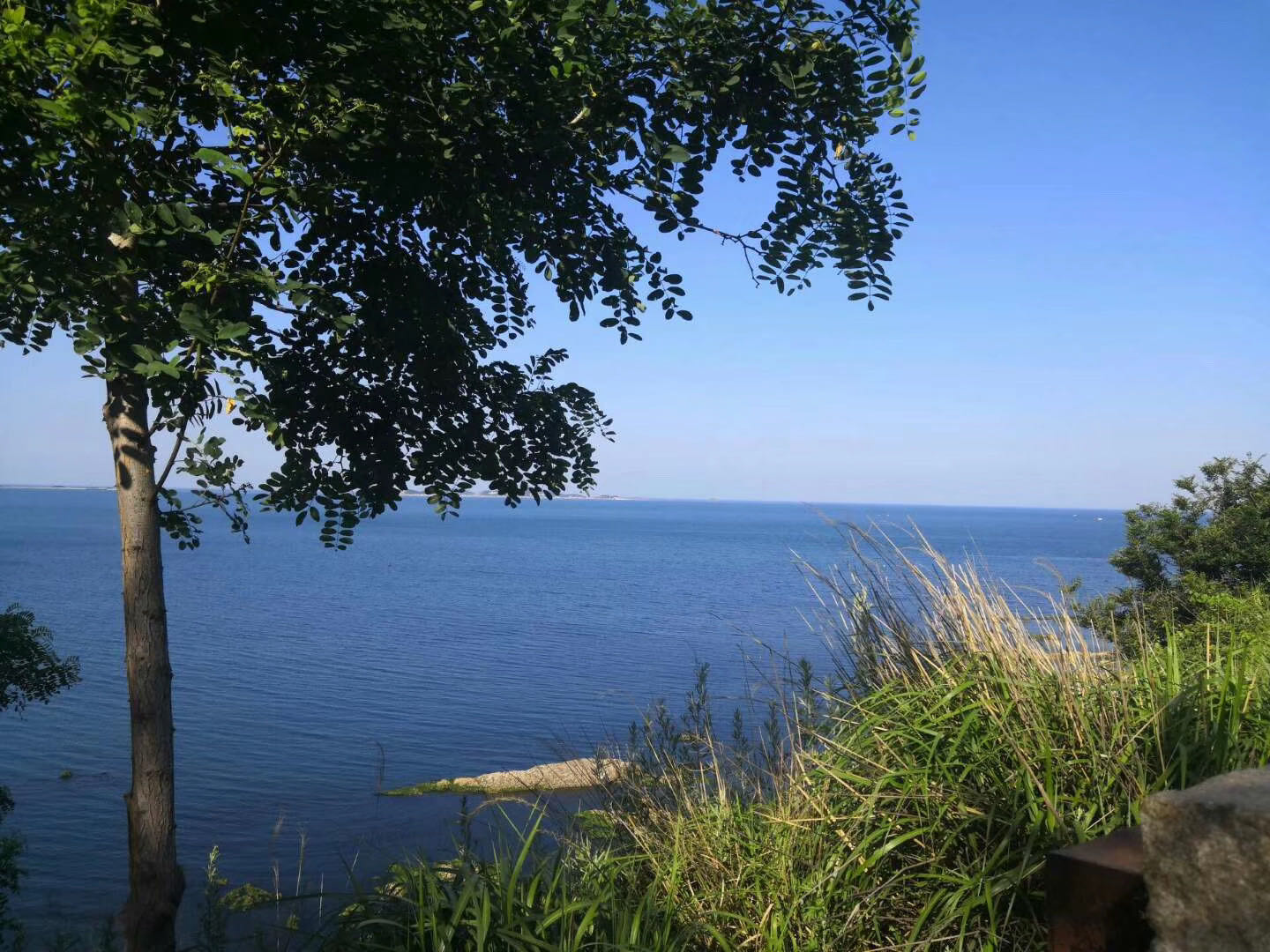 人生之路-不畏艱難，勇往直前