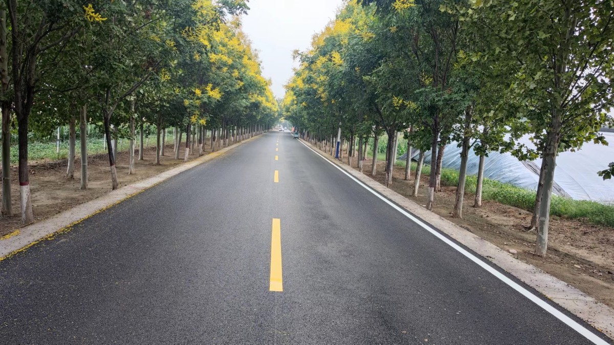 用奮斗為國慶獻(xiàn)禮——臨淄區(qū)四好農(nóng)村路項(xiàng)目國慶獻(xiàn)禮在行動