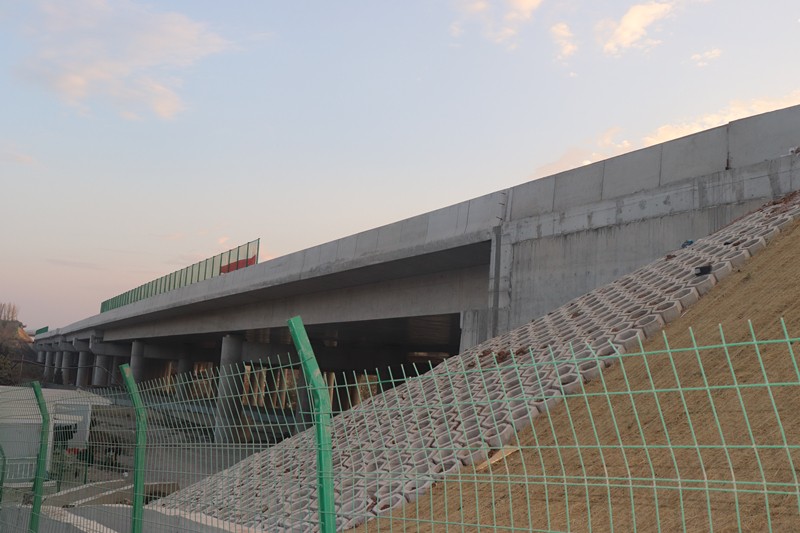 IMG_9266_副本 IMG_9266_副本