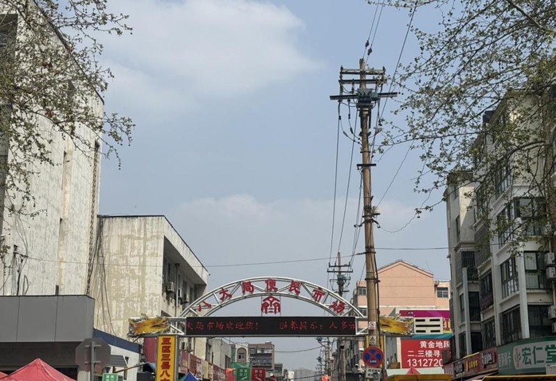 春天，一起去探尋淄博的魅力