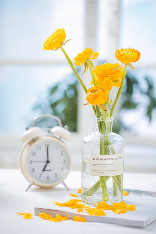 春將遠(yuǎn)，夏將至