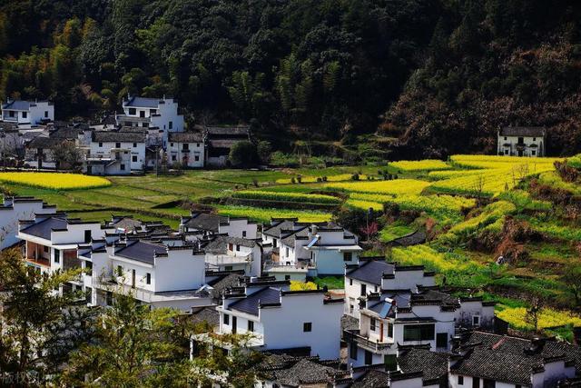 《我的阿勒泰》敲開(kāi)了心房，心房的最深處有屬于自己的鄉(xiāng)愁