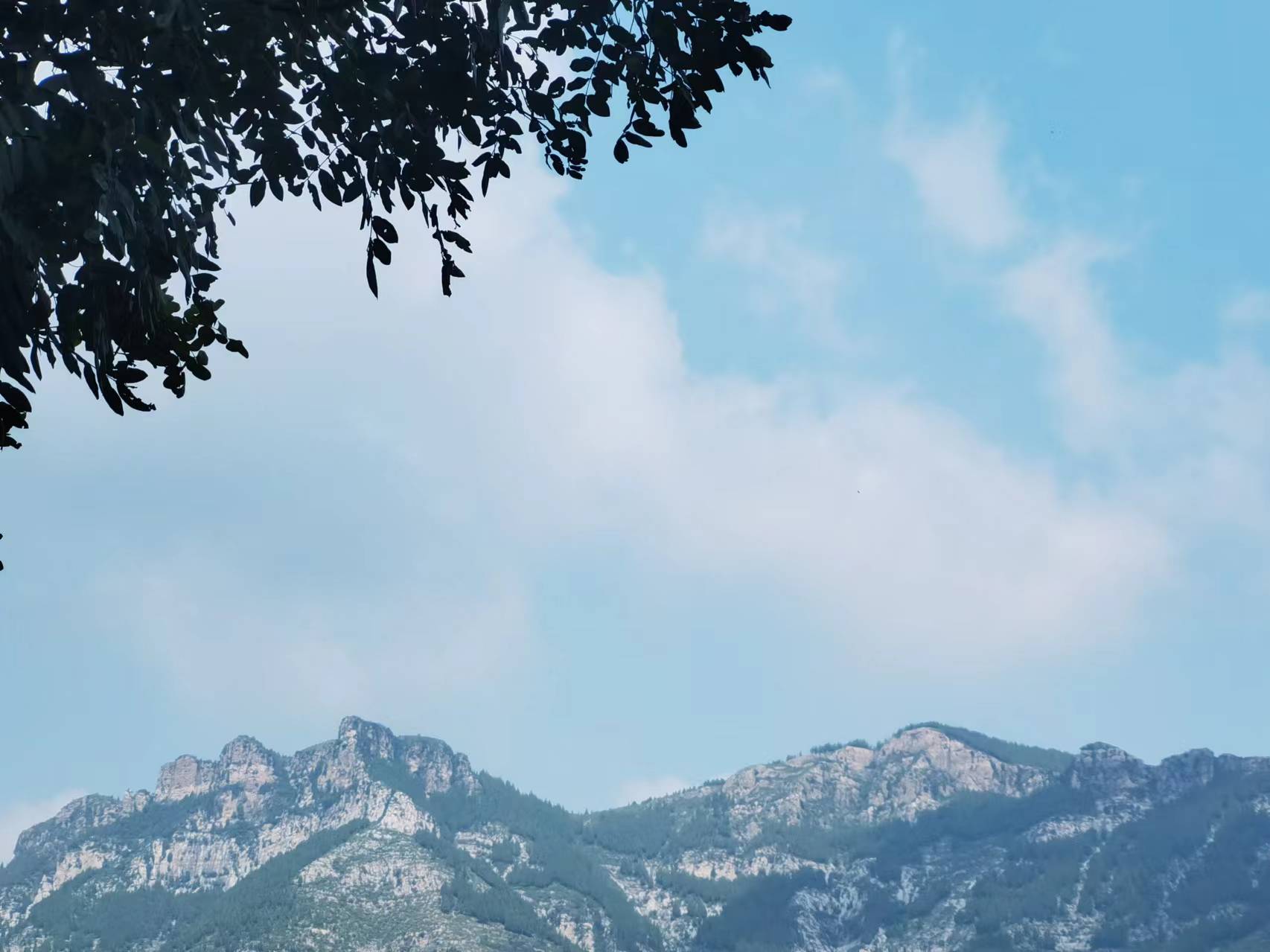 走走停停，不虛此行