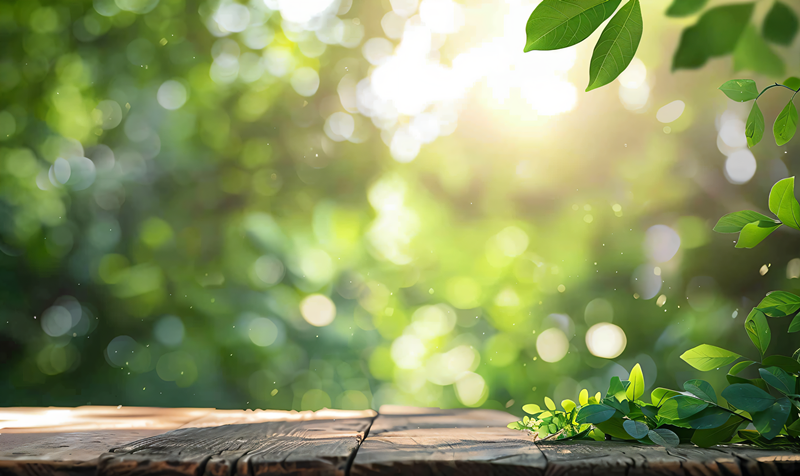 心中有光，皆為福祉