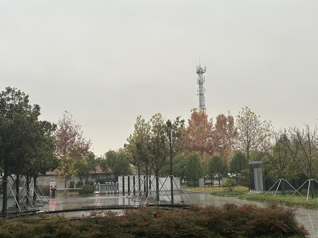 冬雨之韻，生活之色