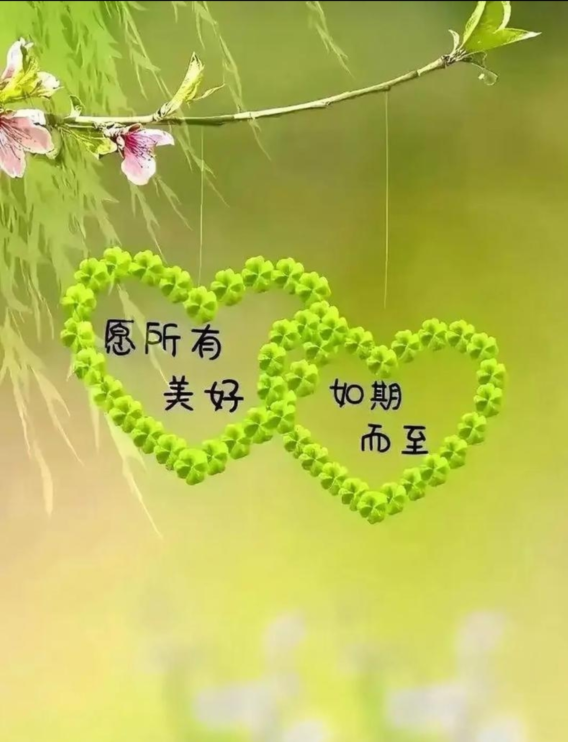 廿載情誼，重逢見暖陽