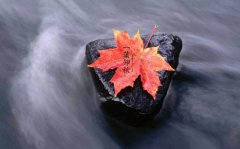 立秋時(shí)節(jié)