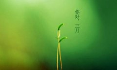 你好，三月！