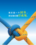 從人力資源部看團(tuán)結(jié)，淺談對(duì)團(tuán)隊(duì)的理解