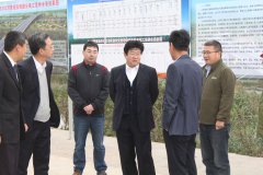市公路局局長(zhǎng)王興視察我S102項(xiàng)目工地