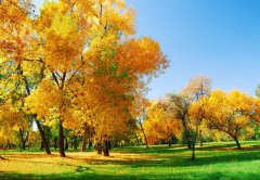 擺正心態(tài)，積極面對