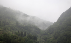 再見，江西！