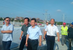 市委書記周連華視察馬南路孝婦河橋項(xiàng)目