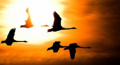 12月，你好！11月，再見！