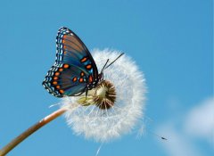 改變，從魯中公路開始