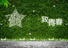 做好青春事，無悔公路情