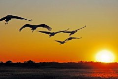 快樂工作， 微笑生活