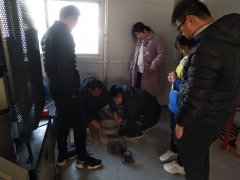 為則通達(dá)，學(xué)無(wú)止境