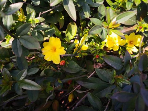 新寧項(xiàng)目的三八“女神節(jié)”