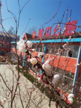 感謝有你  魯中公路