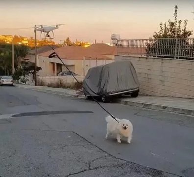 知恥而后勇，知弱而圖強(qiáng)