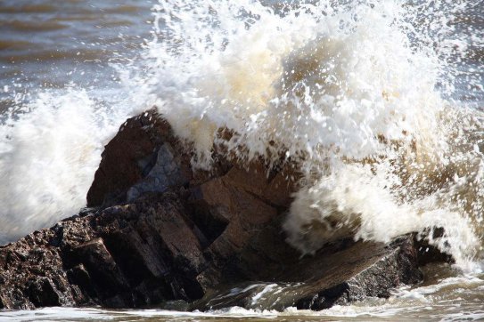 長風破浪會有時，直掛云帆濟滄海