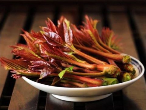 雨生百谷來“吃春”