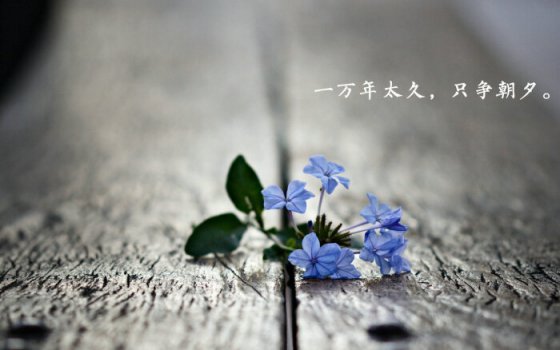 珍惜當下不負韶華