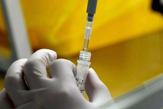 青島“歷險”記