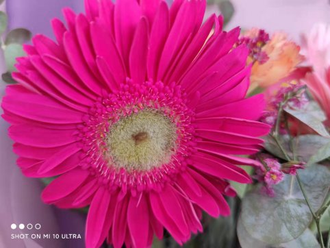 三八節(jié)，我們的女神節(jié)