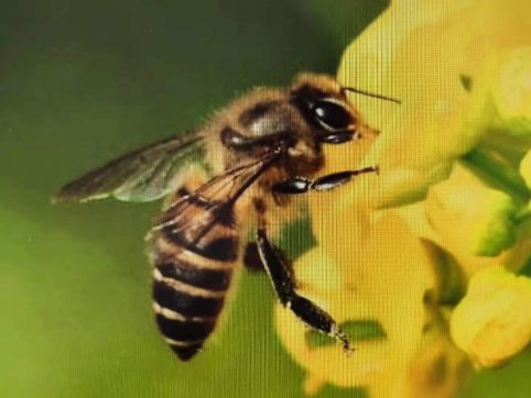 給誰打工？——從“抓作風(fēng) 創(chuàng)效益”想到的