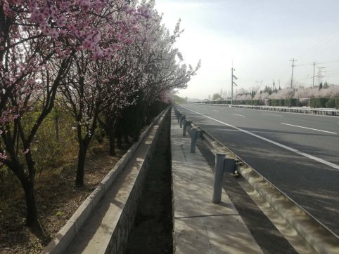 及時當勉勵，歲月不待人